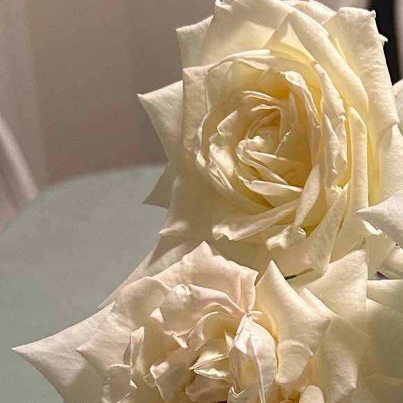 Meet your Posher, - Picture 3 of 15